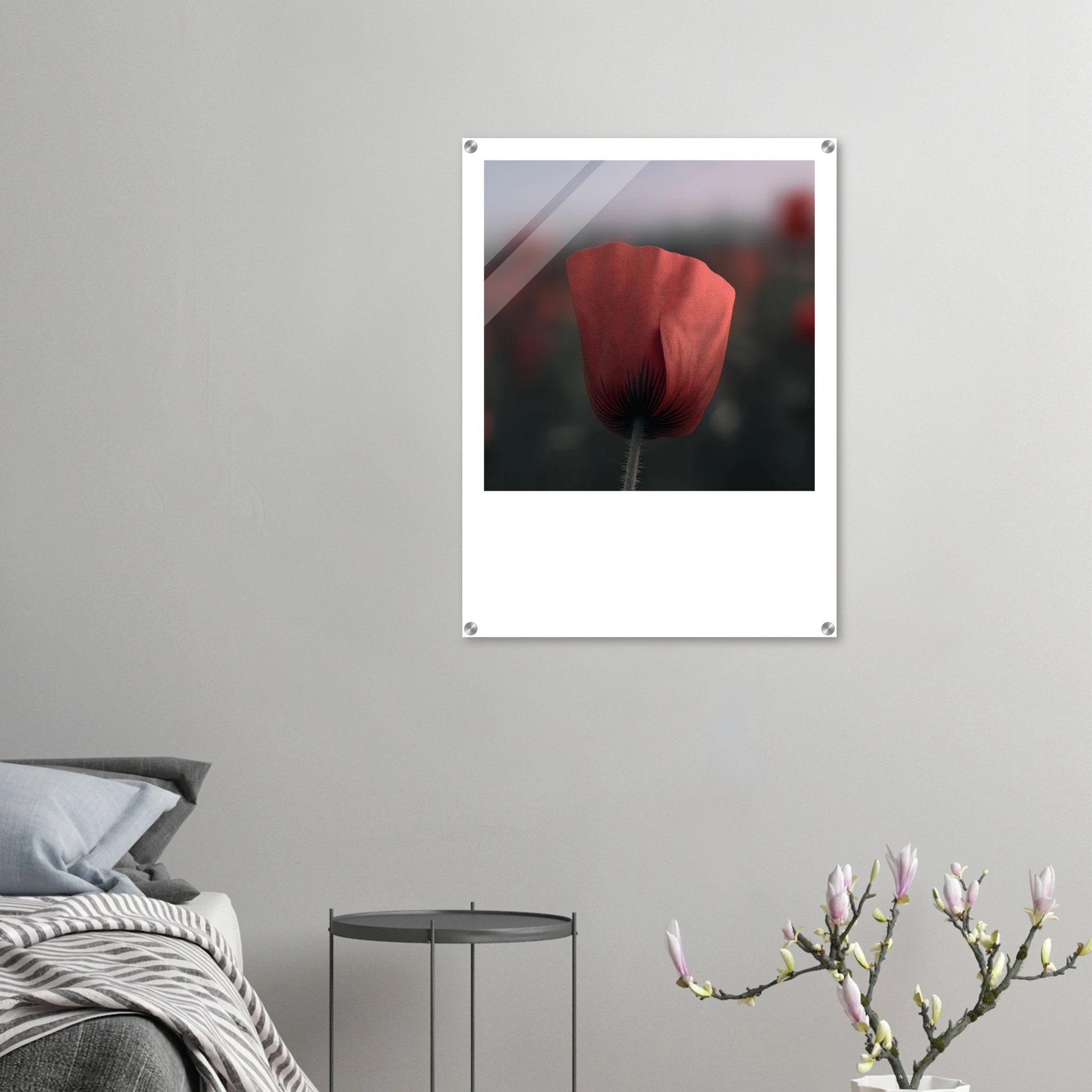 026f8304-aeb5-4ab9-8b48-591e08ad49ad