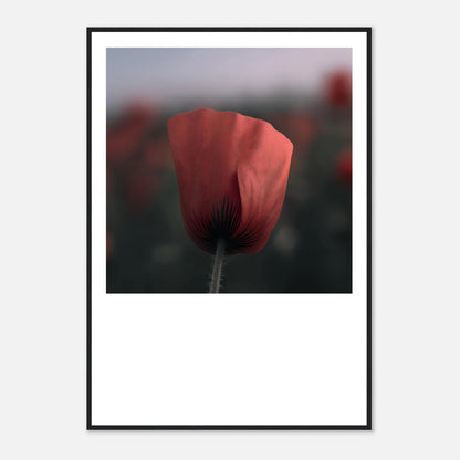 07b9a48a-b95e-4404-bed9-c67cd7a96164