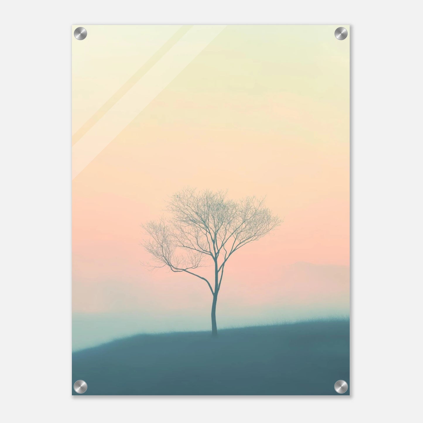 0db6b9df-cd5b-4e54-9cbc-85079aec7662