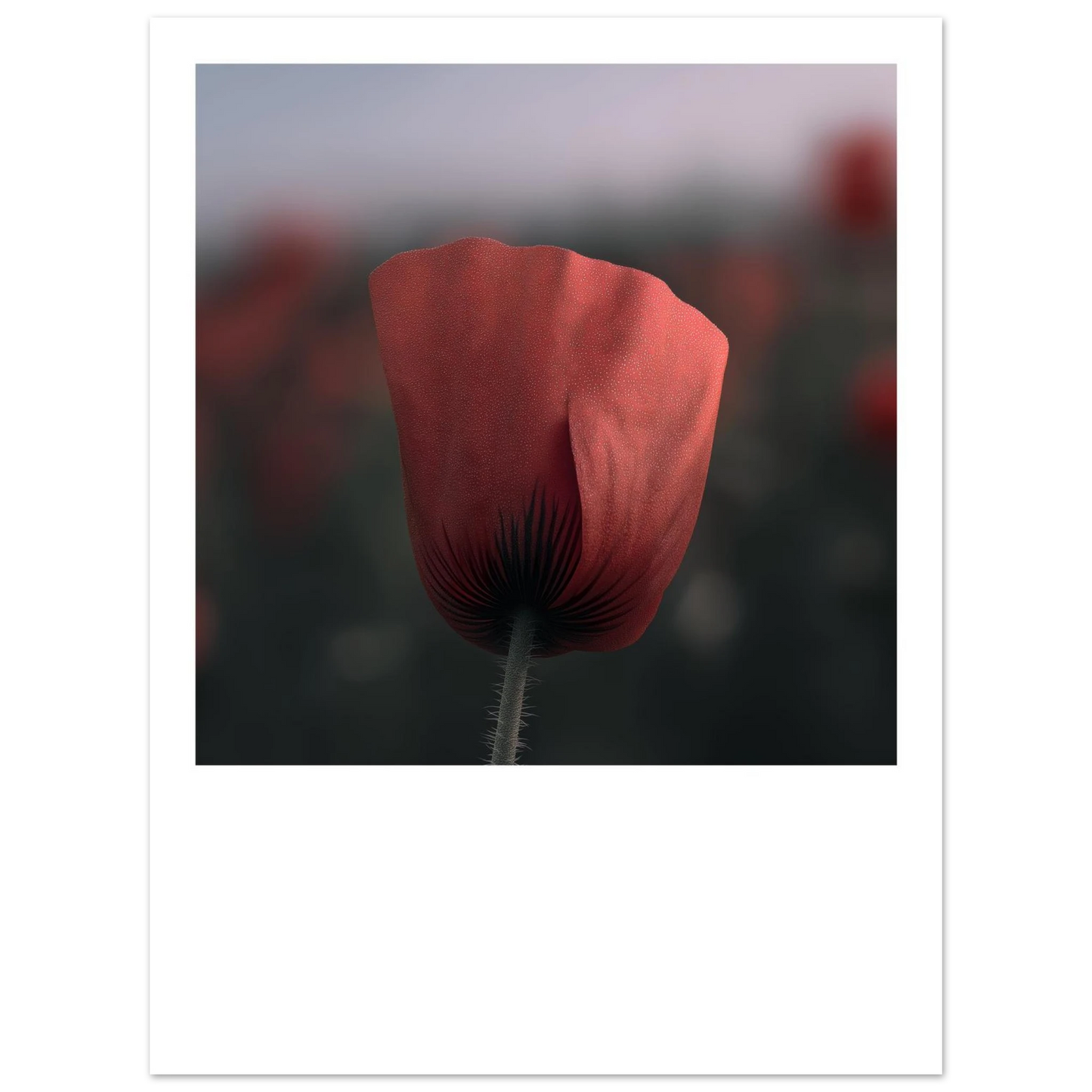 101a9fbe-15cb-481d-bbe6-e9d14664ab27