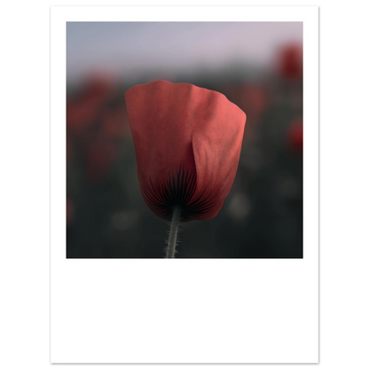 101a9fbe-15cb-481d-bbe6-e9d14664ab27