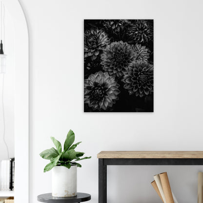 111411f0-c5e3-43aa-a8a0-fe3bfa0c095f