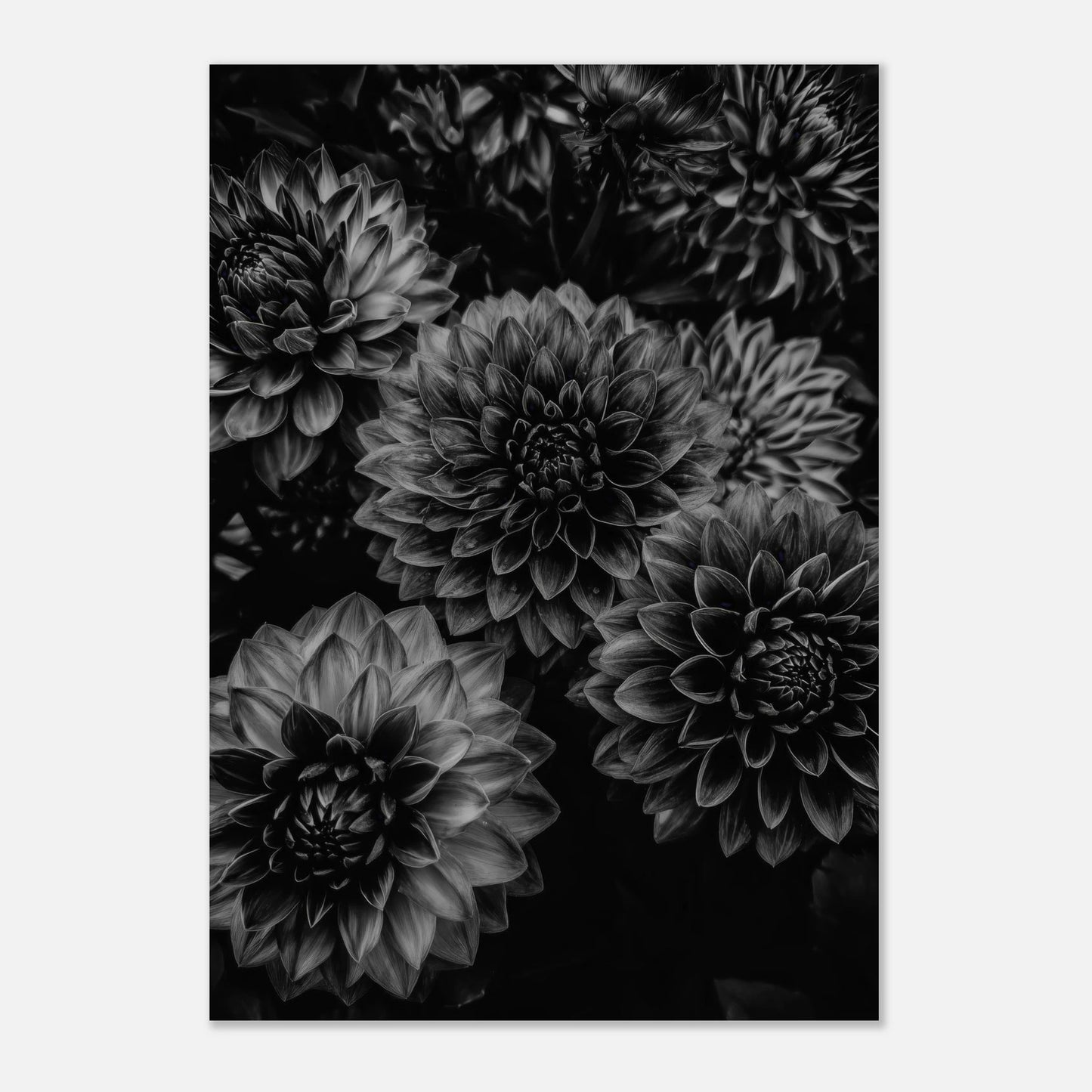 12cdae92-d7a7-4906-95c0-662754fe5181