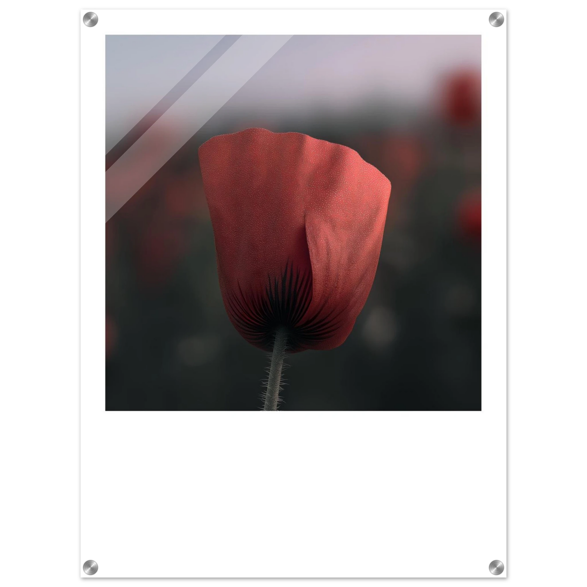 18a7892f-160c-426e-9f50-56d783ddc1d0