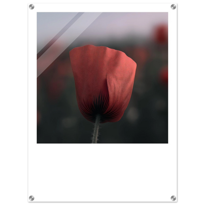 18a7892f-160c-426e-9f50-56d783ddc1d0