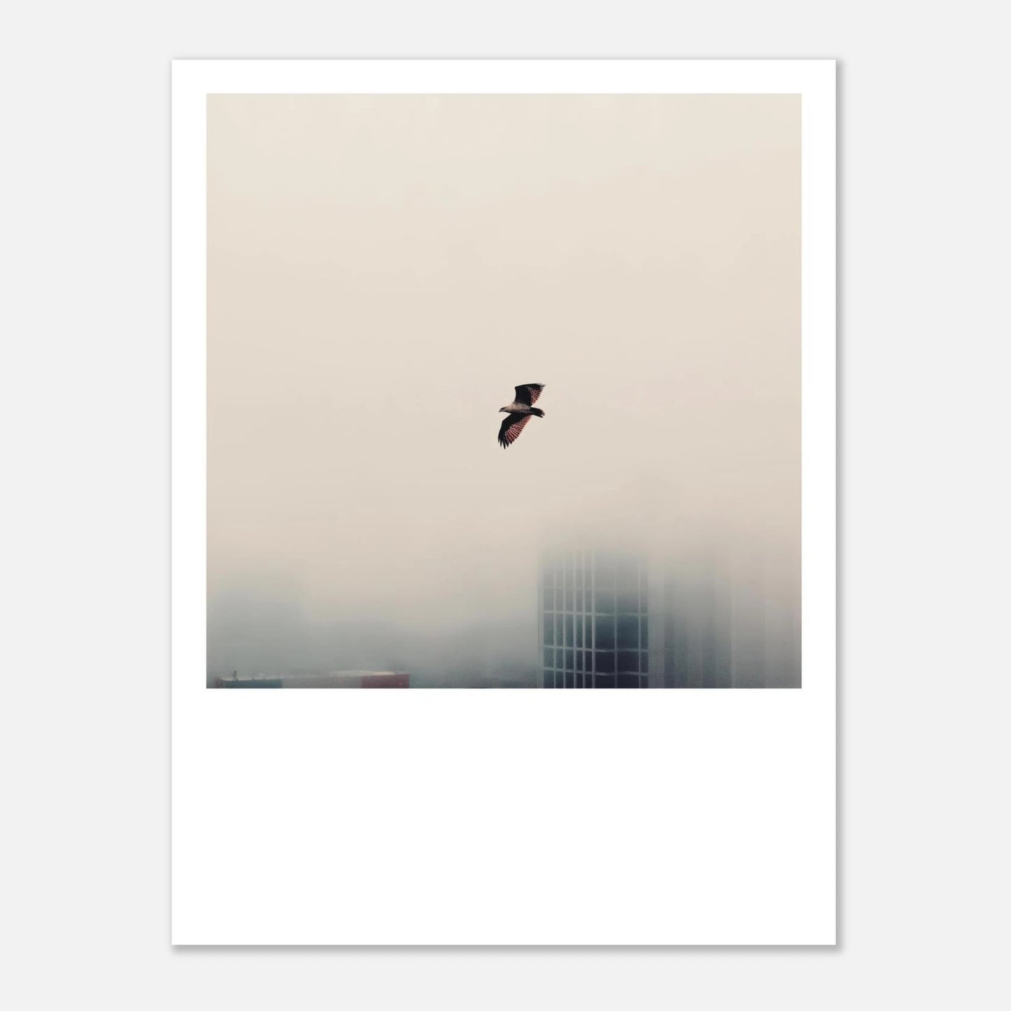 1d0f9f82-9e57-437a-ada9-ab0bf6935bc1