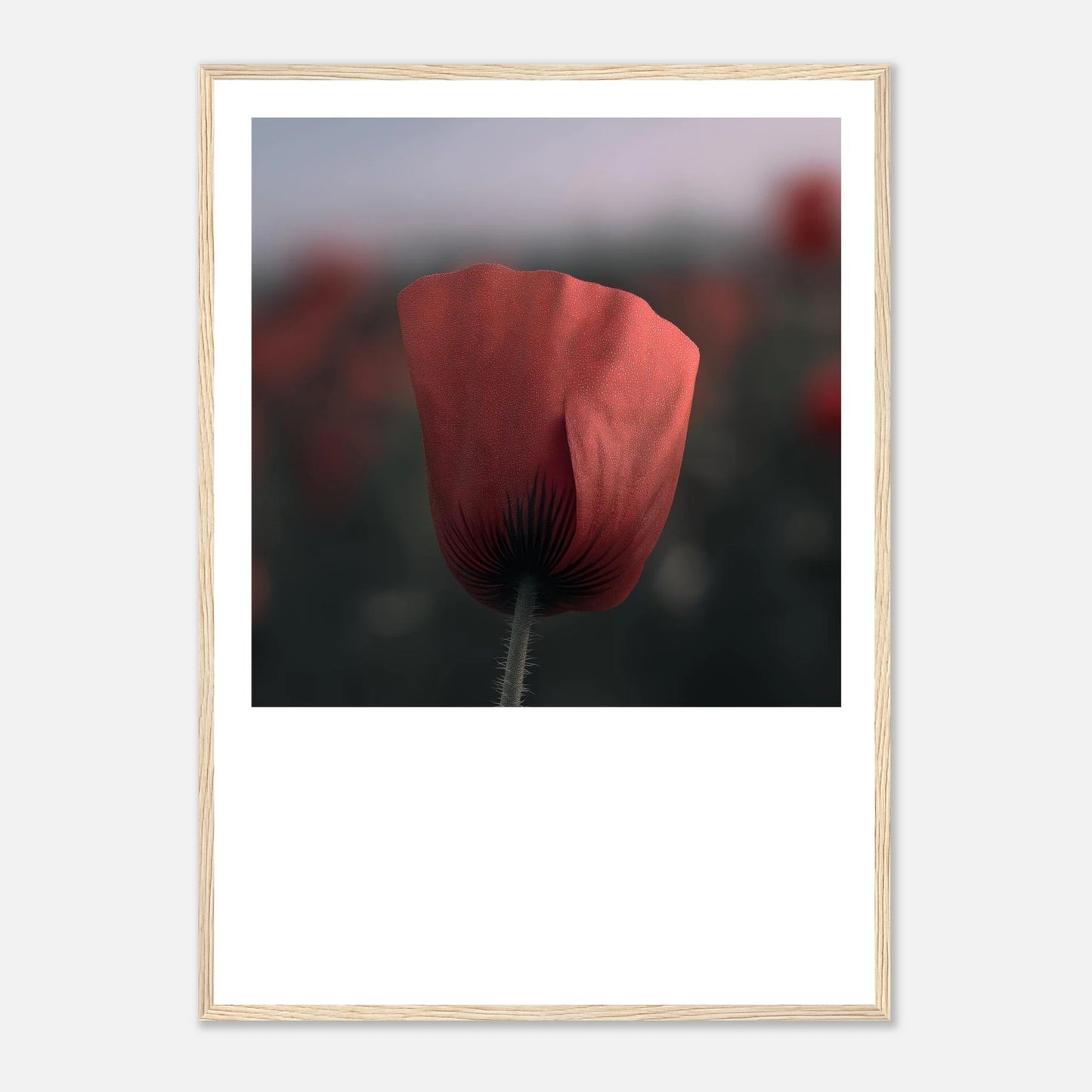 1dd16b0d-9cf4-4ab9-8478-fb391be1c765