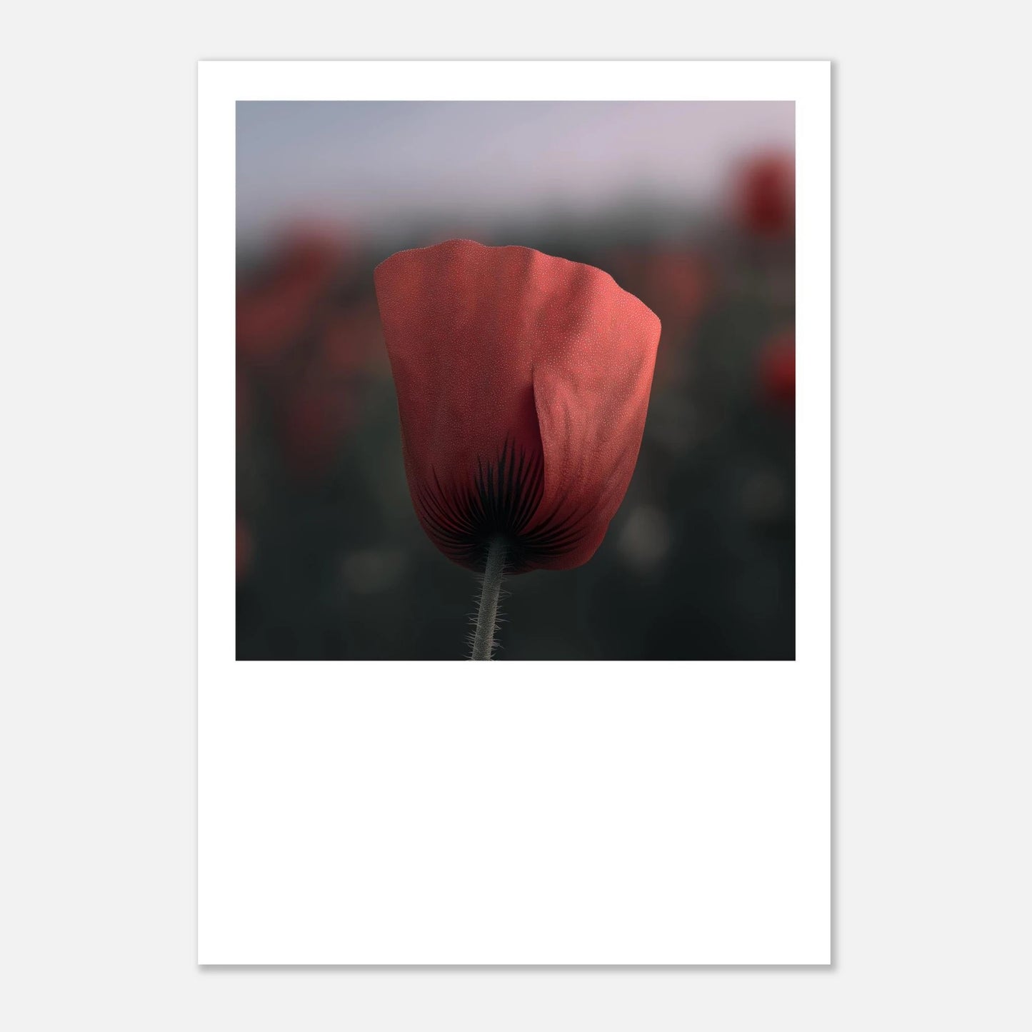 234d88ca-9cd1-4787-afb7-22e9fb05fa26