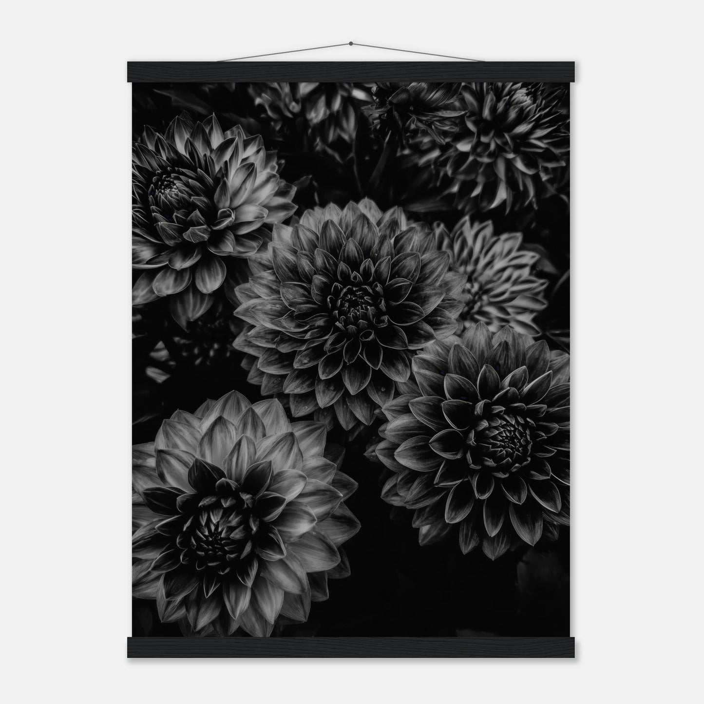 27e4c00f-b00a-41d5-92fa-bbd96b417f3a