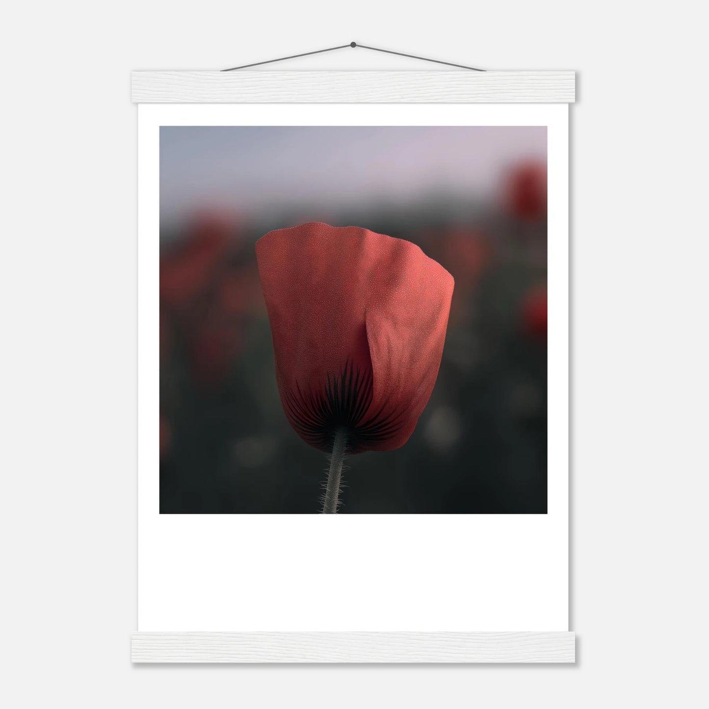 288a1b25-11e6-49e2-a223-ab1e6dae7cb3