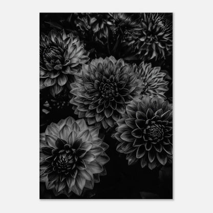 2bbe3fd7-dc6c-49dd-b623-f91f6803a63f