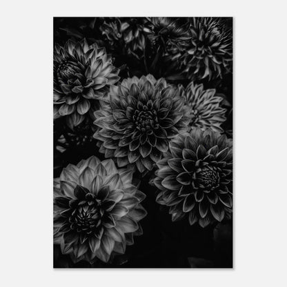 2bc10a41-52af-48b7-92eb-407a4caded31