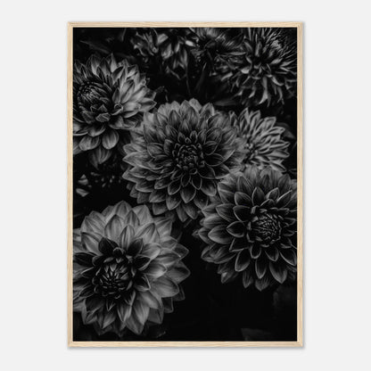 2c19191a-66b4-4894-9164-bf9ecefffbf5