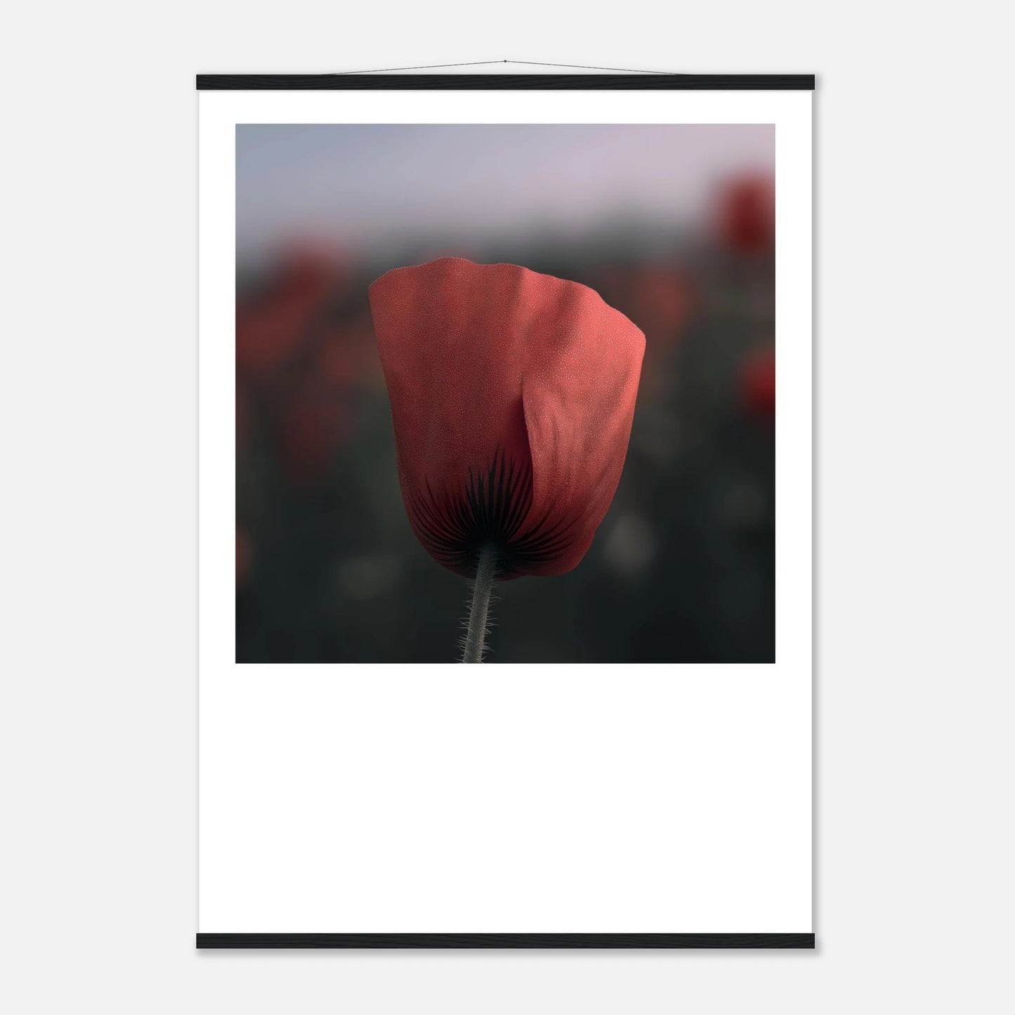 355e7efa-62bc-4be6-be3f-bfbc3495a18e