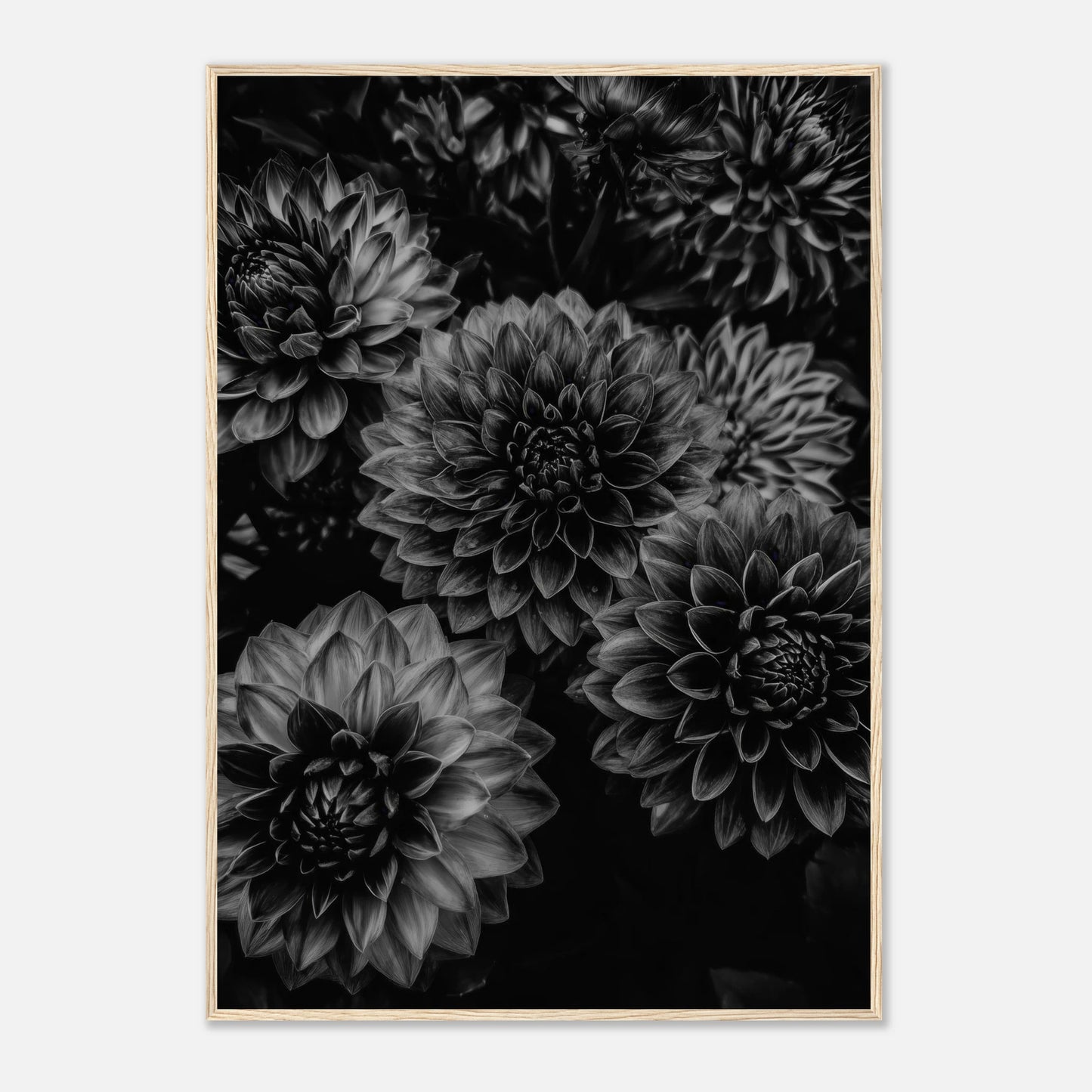 38cc9a0f-2681-4c95-8b5a-ccf034ab7cd4