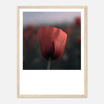 3a6c6e63-dd83-4842-a68d-b435f0353157