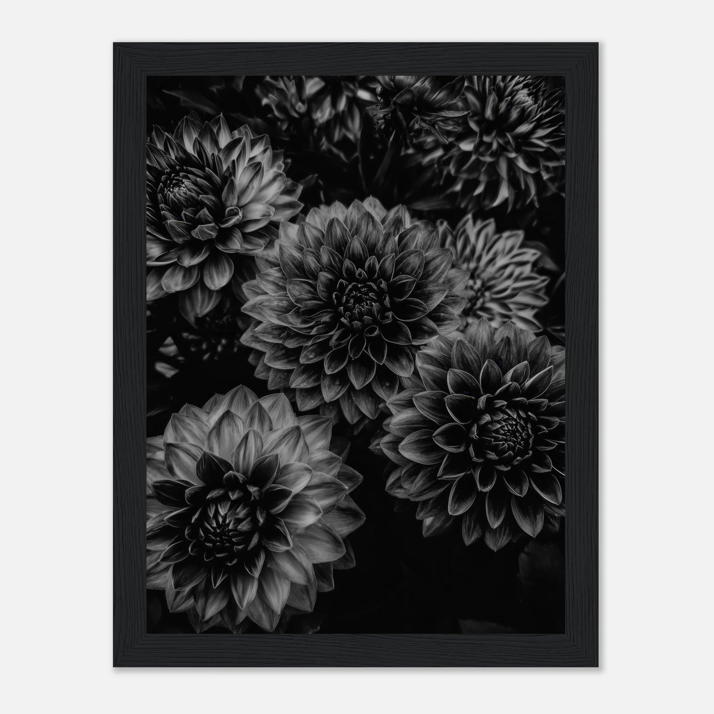 3ca9a7b5-a9a4-4fd0-975b-b921860ebfb5