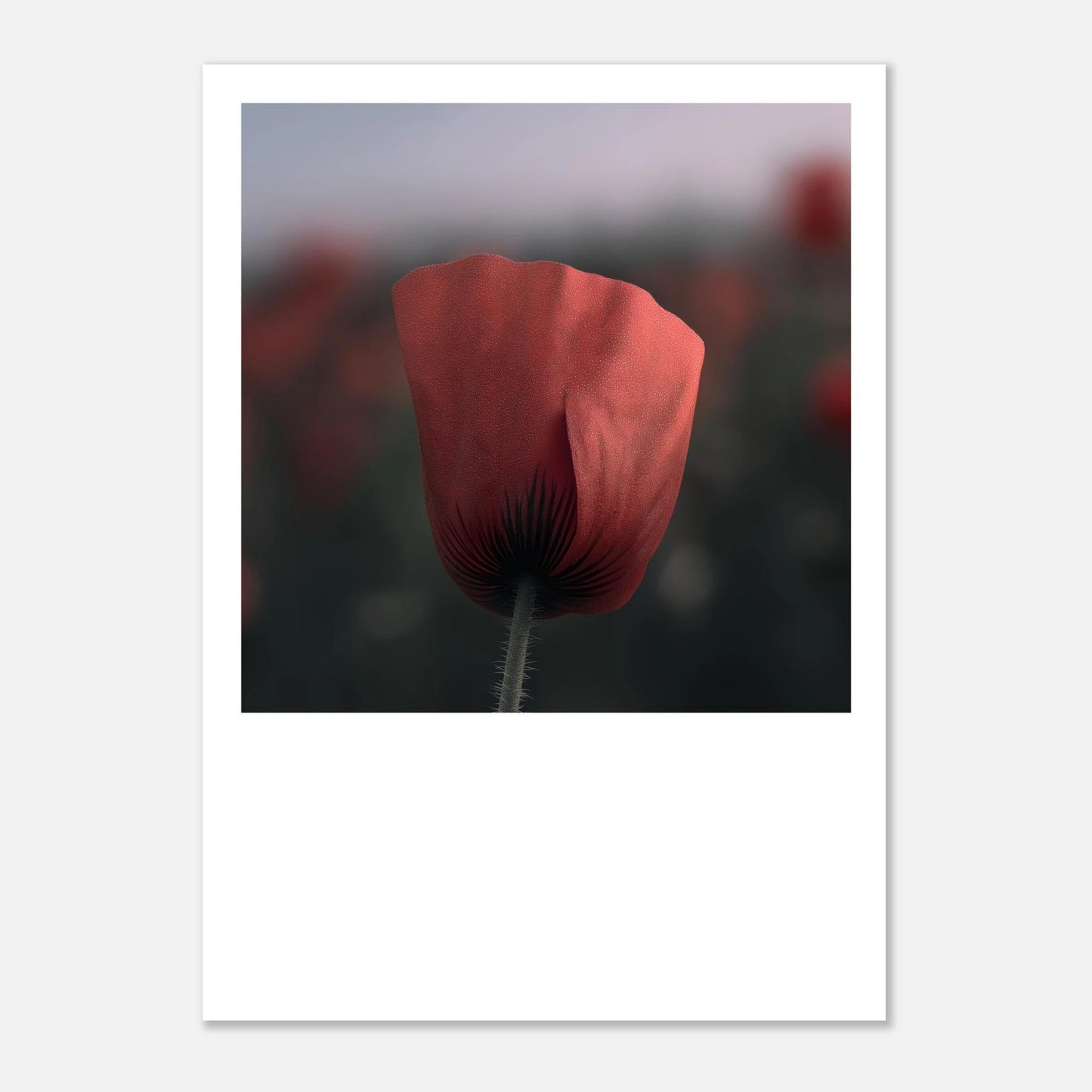 3deccedf-3430-48c1-b31b-13575e0f46f8