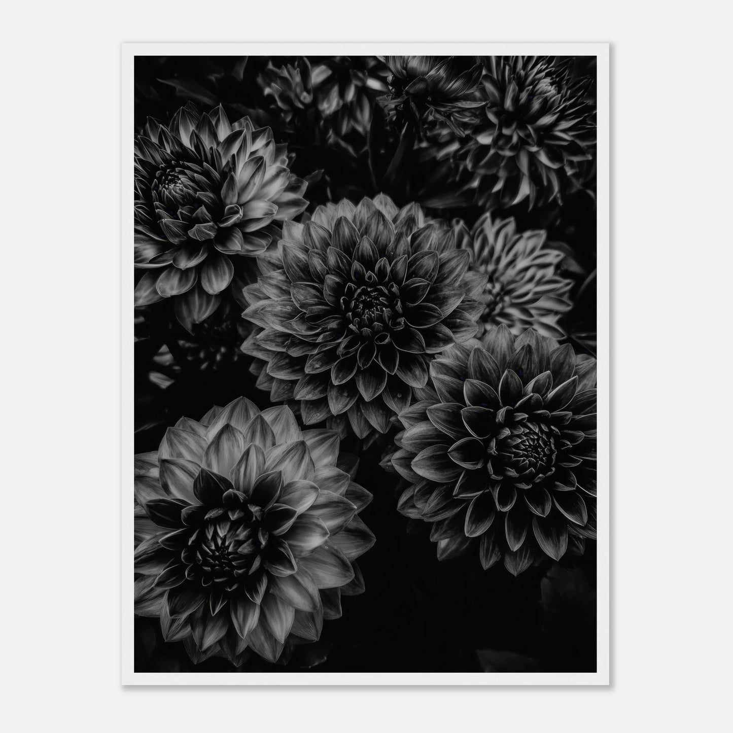 532bea92-28f3-4782-b0ad-7d749bd02b65