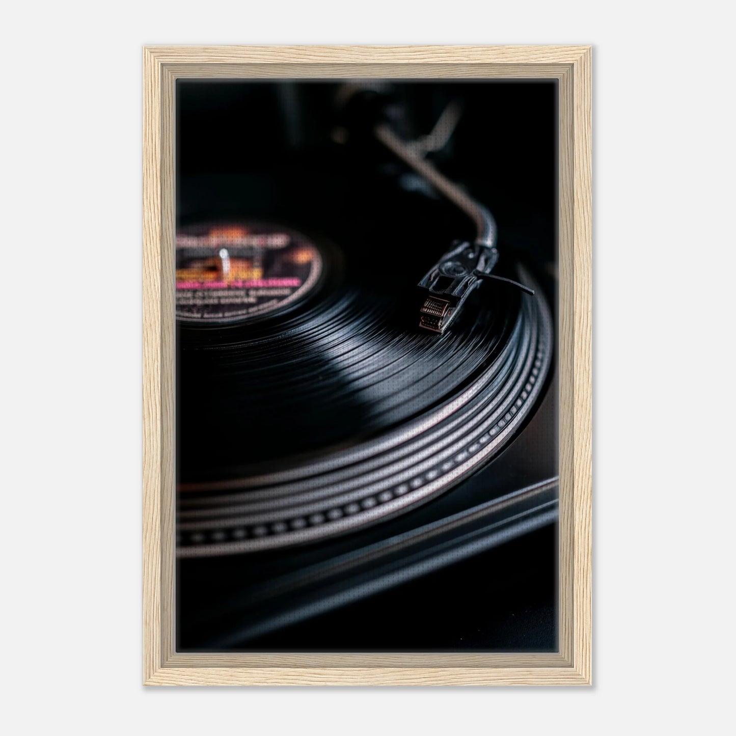 5621a141-da50-44e2-800c-27151cd45d33