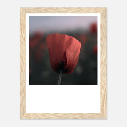 57742218-2c00-45d3-a563-1cc518638658