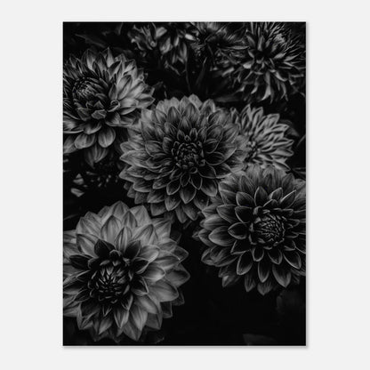 5ba54b28-2b45-400f-acf9-02a266ce0e49