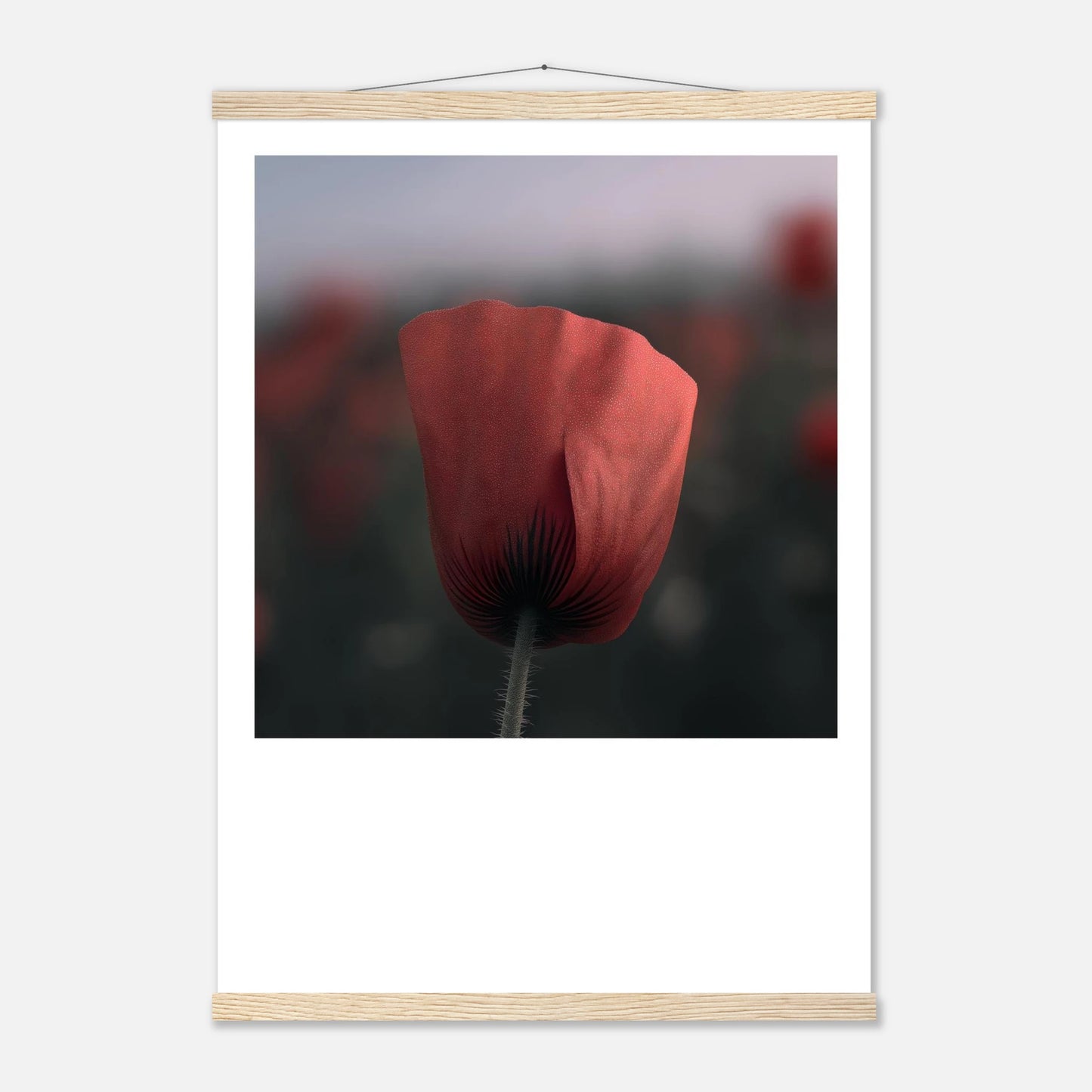 5eef9023-17d5-4719-a34b-e67b2c8fde58