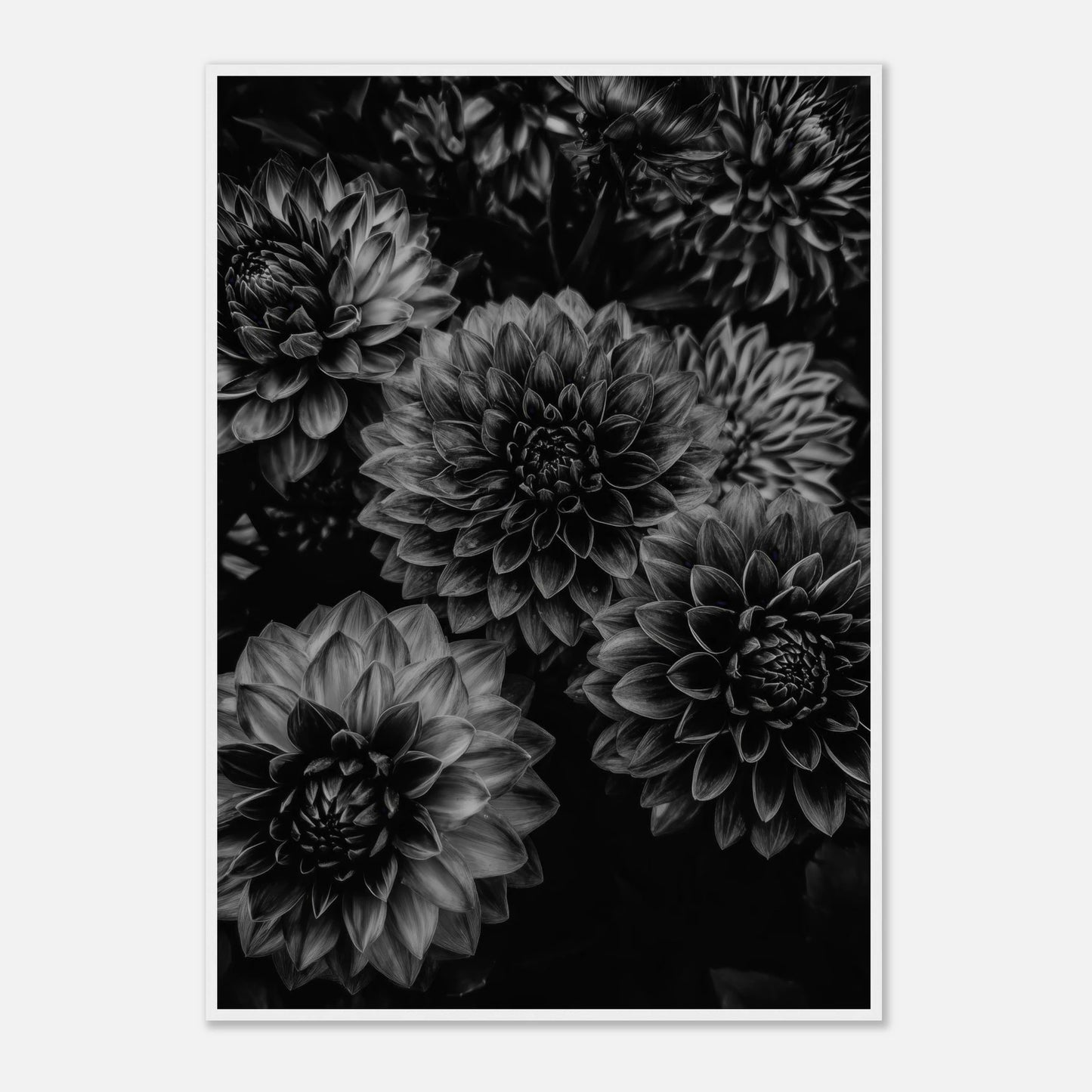 6011c774-164e-467b-8be7-5f35961855d2