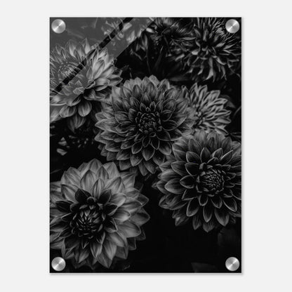 62b1331e-1be0-467d-ba37-97d3b01eb715