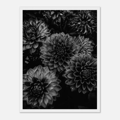 679a5635-95b5-4d0f-9a1a-30661eb0c8c1