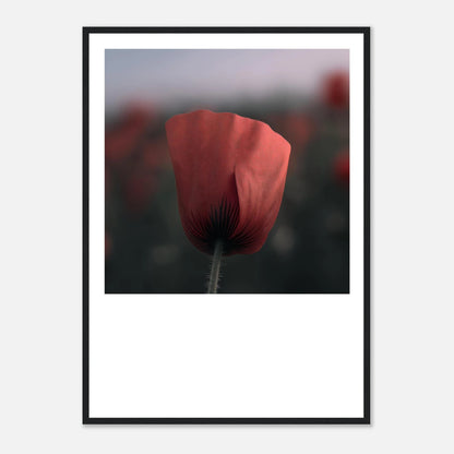 6bf0c622-a1f9-4c68-a9a6-1588b427252e