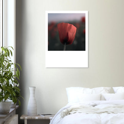 6c986e1c-25b0-4346-96e3-1608558ef646