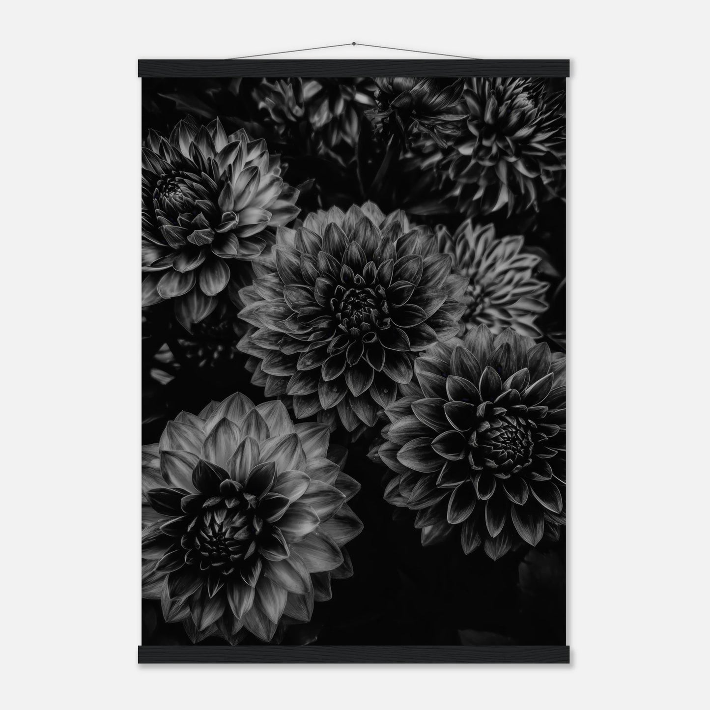 6fa63e0d-bc75-43ad-913e-754592fb0322