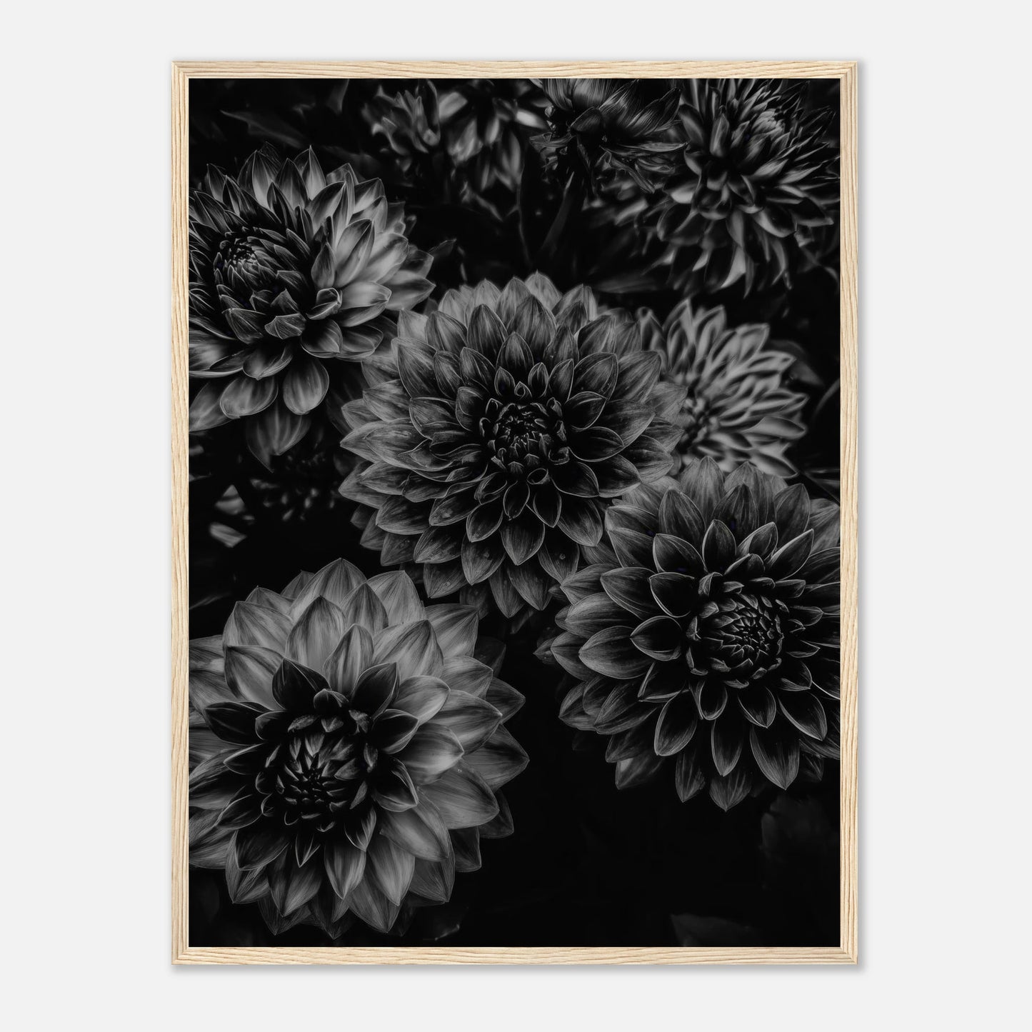 701b9dd0-c2c7-4d7f-b677-2942161268f6