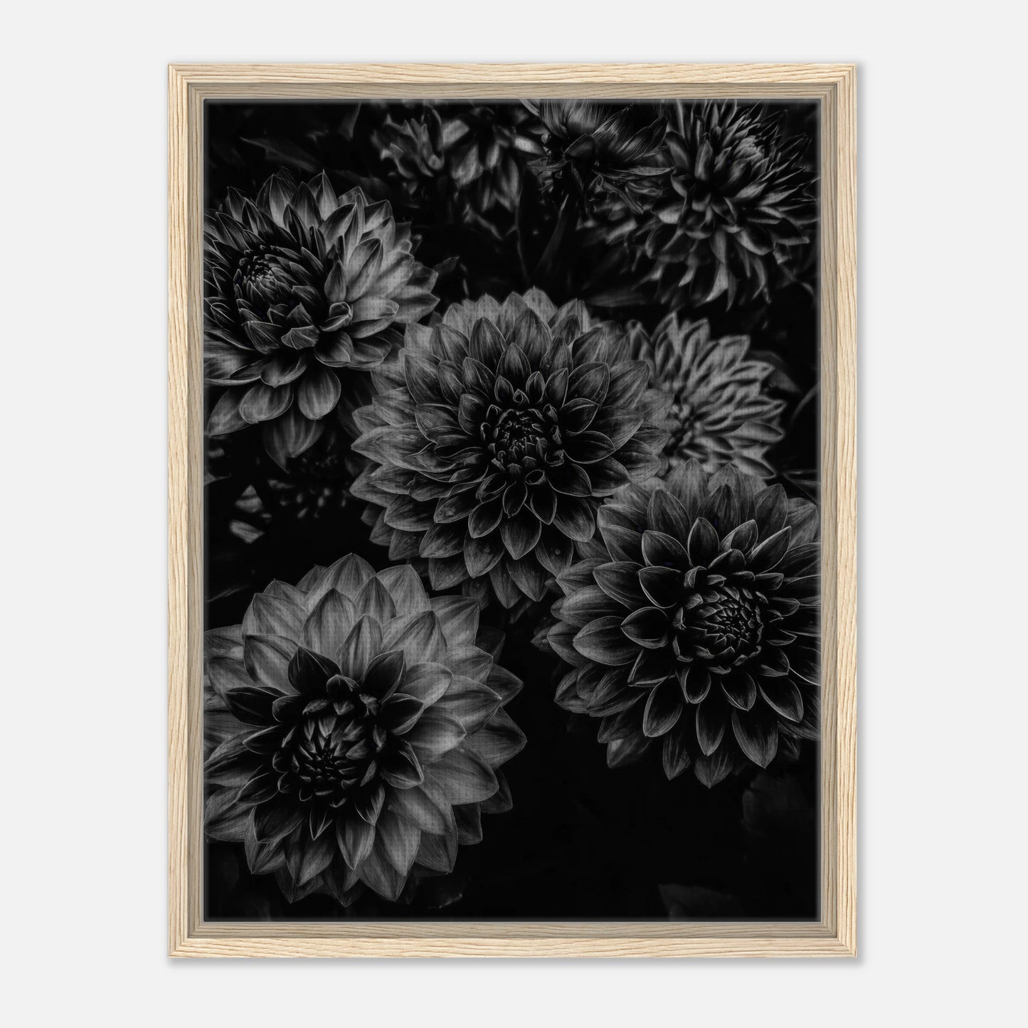 72223cf7-50be-4c41-a8f2-10292313aa9e