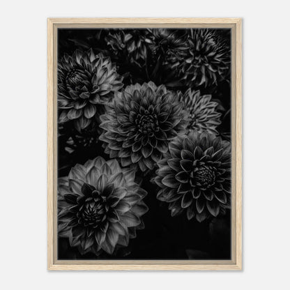 72223cf7-50be-4c41-a8f2-10292313aa9e