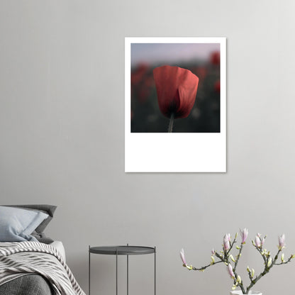 78ed4202-dcb3-4f69-8c9e-c7837f94c2b4