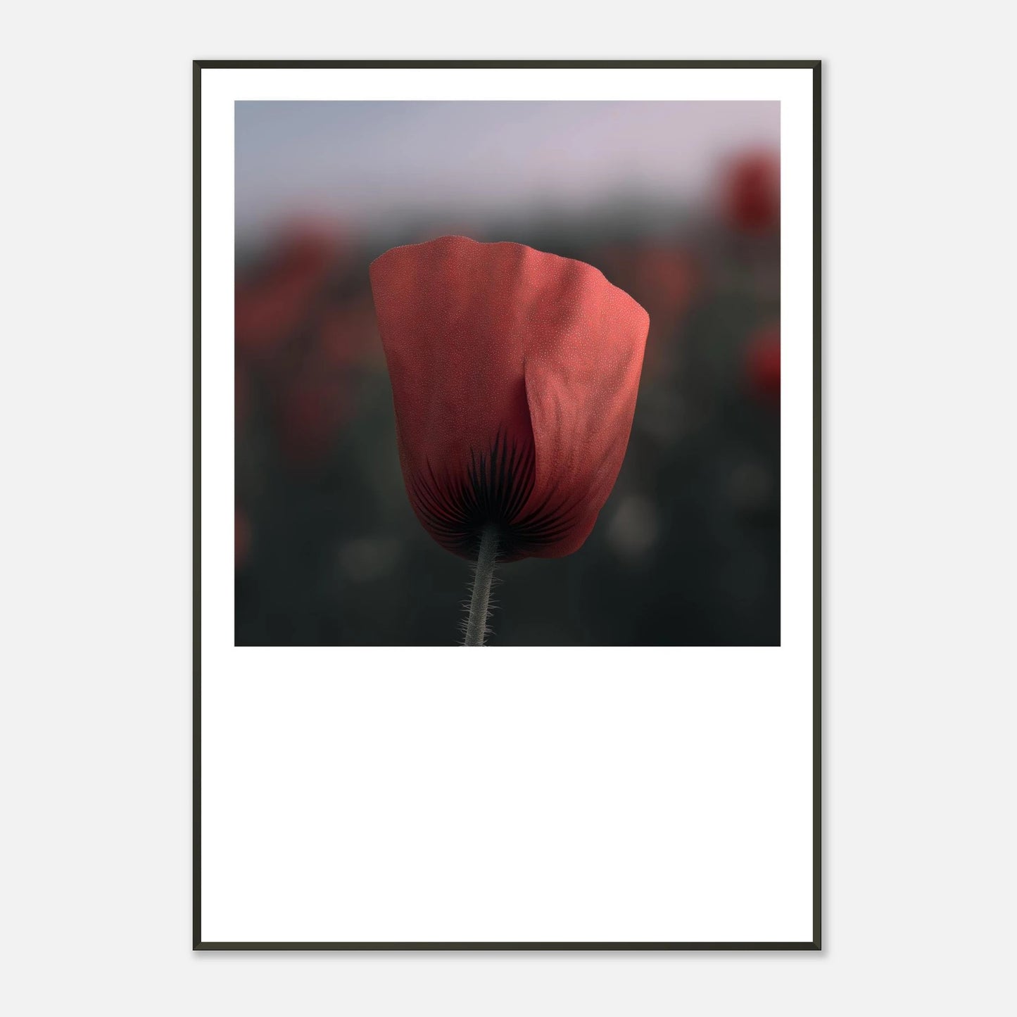 7b1905a6-aee7-4e53-8760-3b6ee8ce8c1d