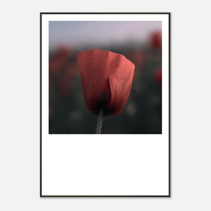 7b1905a6-aee7-4e53-8760-3b6ee8ce8c1d