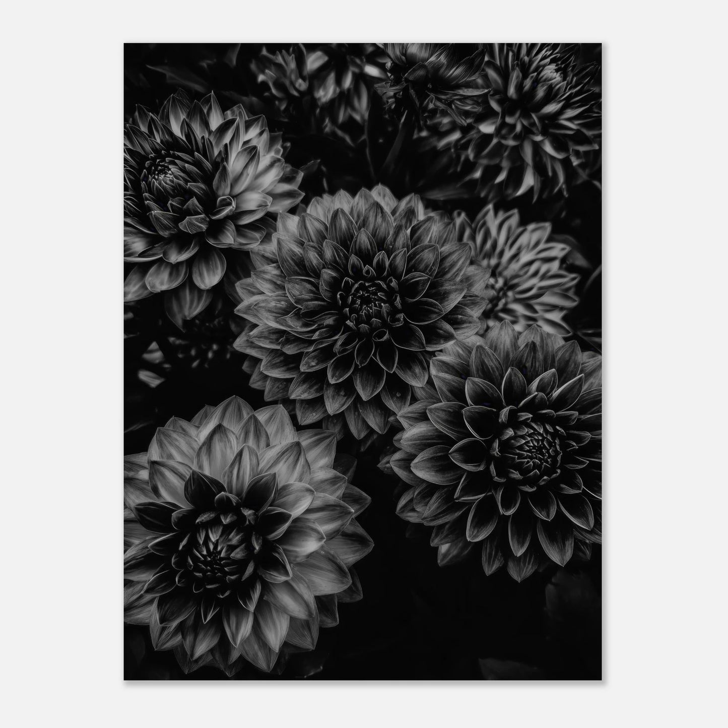 7d0afabb-87e4-4736-a732-bfc8b21f0bf8