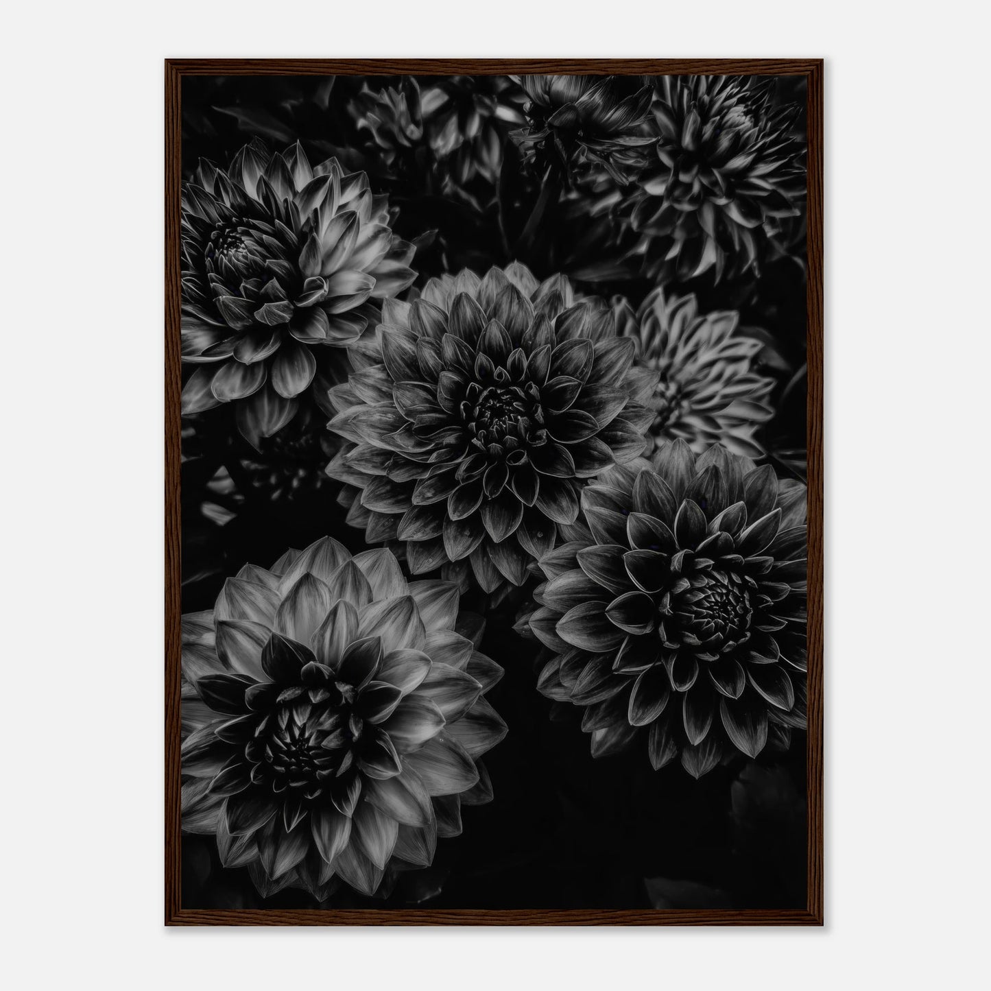 7e3db2e5-159d-4944-9afd-4945518396e3