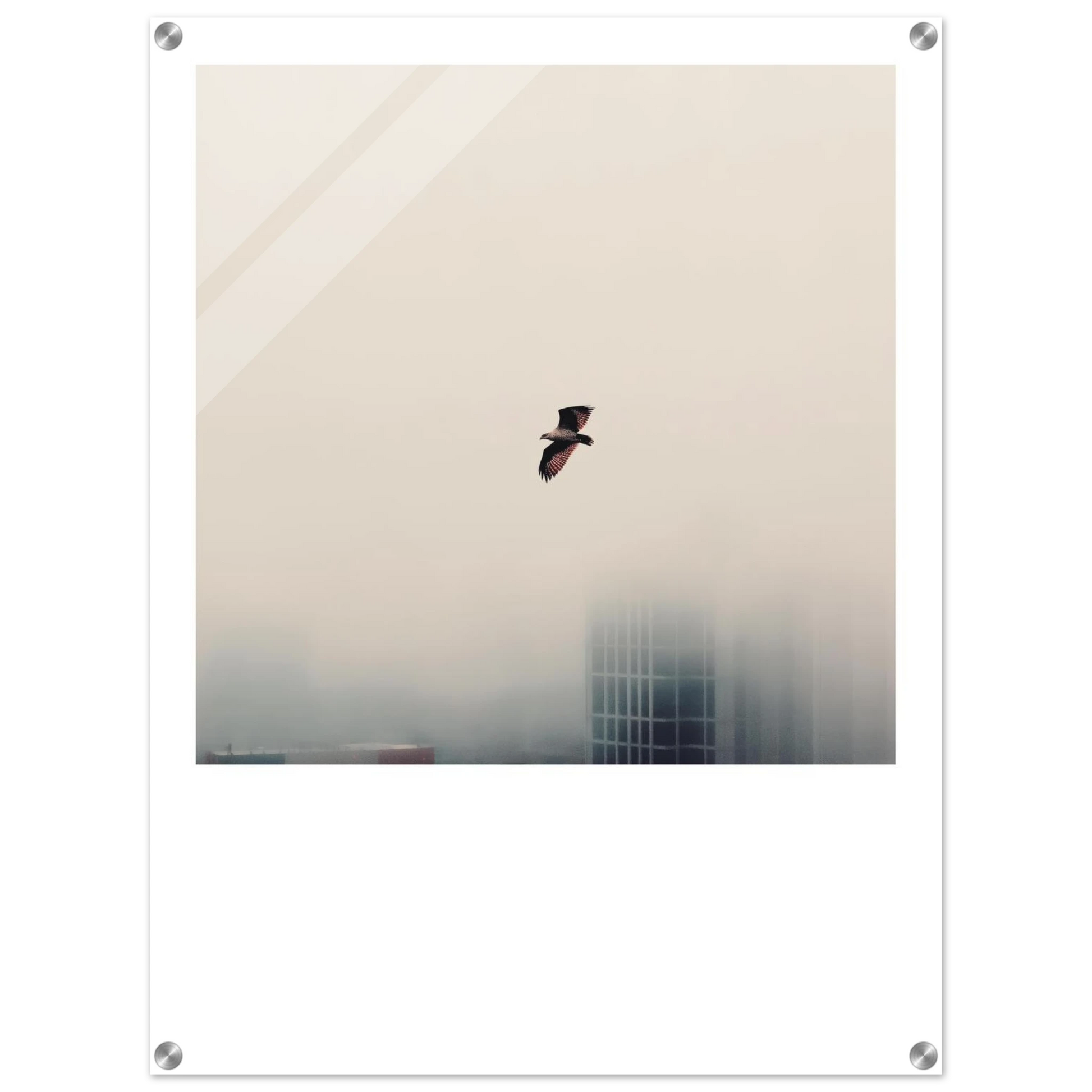 82386152-9db5-4e85-9d4a-c73ad3110b14