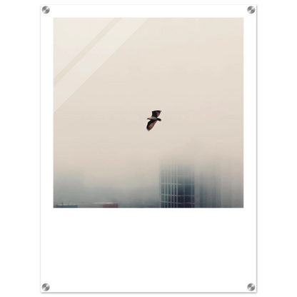 82386152-9db5-4e85-9d4a-c73ad3110b14