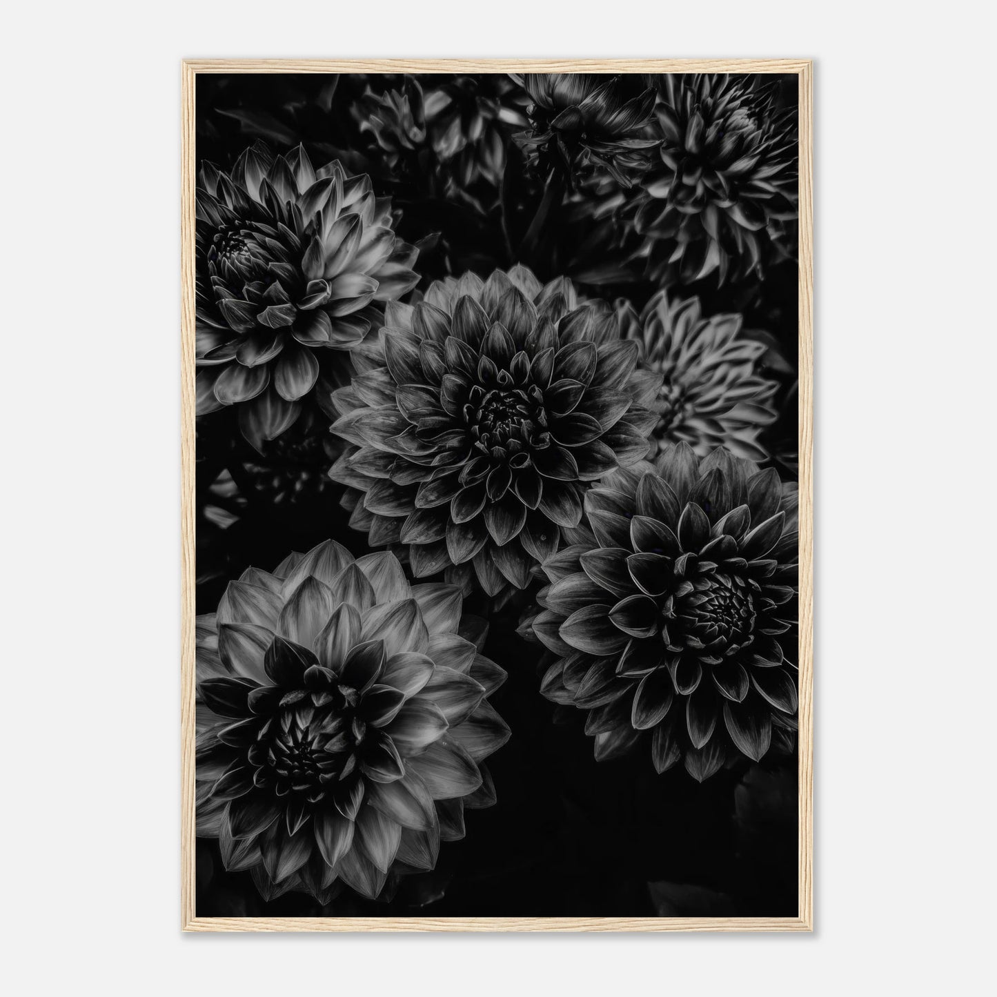 8607a25c-c1f3-4b5b-8992-038e461c4f39