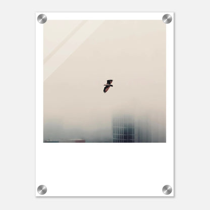 860ef0d8-acd2-4943-9f3d-e7da86ba93de