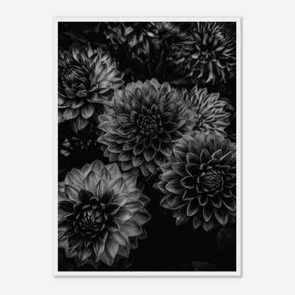 876c465e-68dc-44b5-bc63-c823e4d9b11d