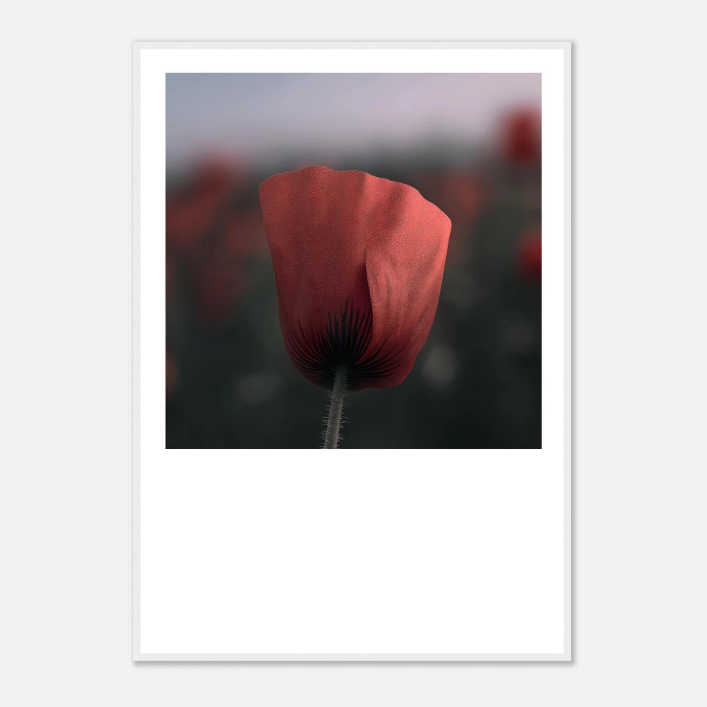 8bcb3b0e-86a3-42dc-a5c0-97ee8b5d2ded