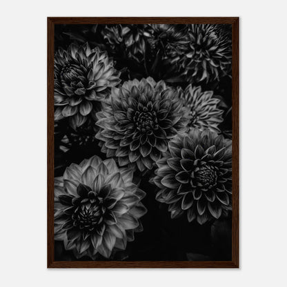 8d56bb89-4003-4b6b-898e-b2291a116b05