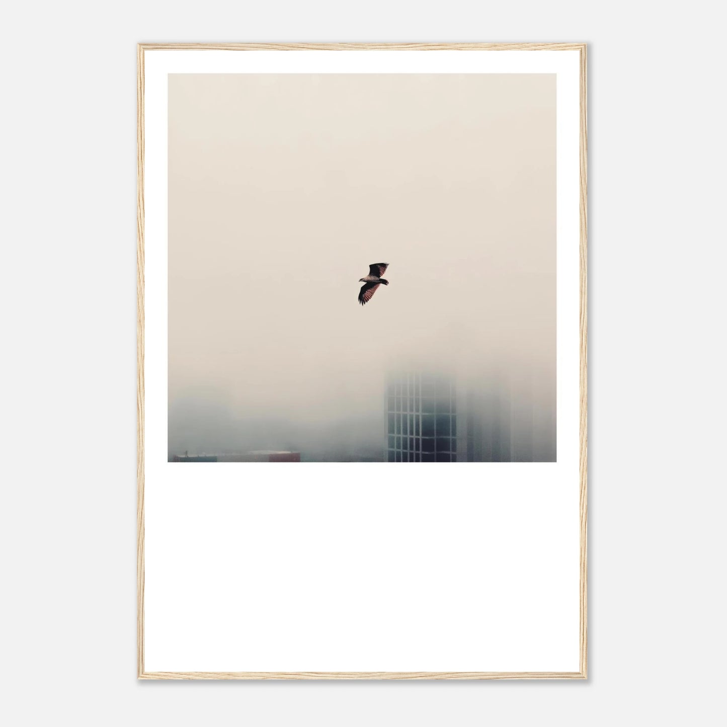 95b4d2d8-ded0-4f22-b238-43074ca0770a