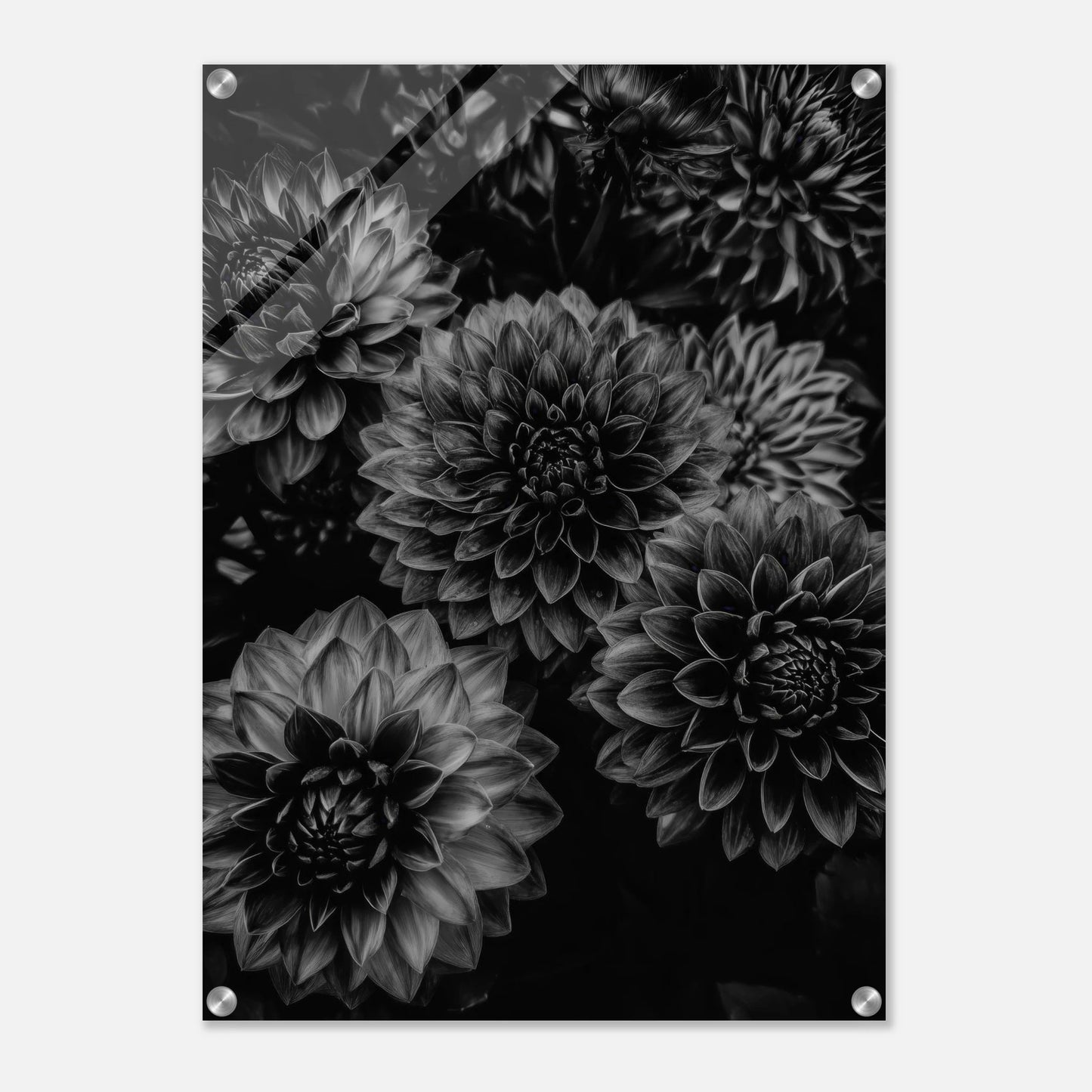 9a853c30-1d72-40d3-a168-7789c0d28936